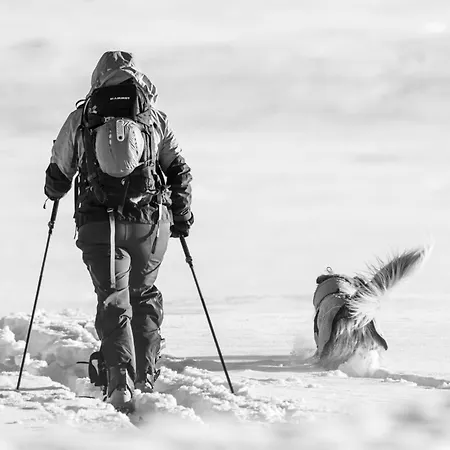 Penthouse With Large Rooftop Terrace, In-ski Out In Apartment