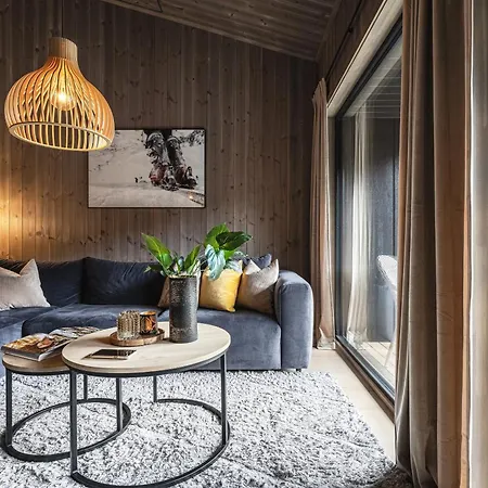 Penthouse With Large Rooftop Terrace, In-ski Out In Apartment Hemsedal