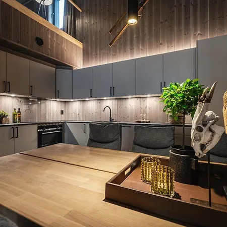 Apartment Penthouse With Large Rooftop Terrace, In-ski Out In *