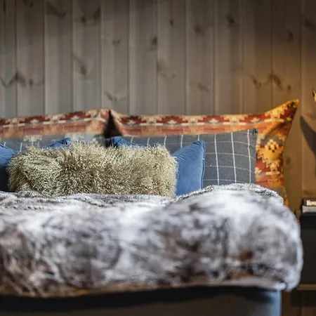 Penthouse With Large Rooftop Terrace, In-ski Out In Apartment Hemsedal