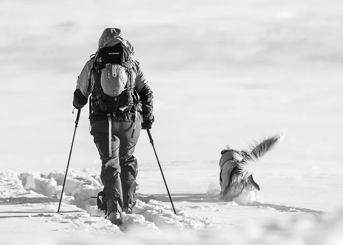 Penthouse With Large Rooftop Terrace, In-ski Out In Lägenhet