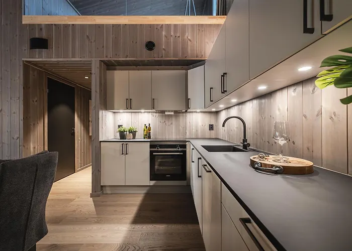 Apartment Penthouse With Large Rooftop Terrace, In-ski Out In Hemsedal