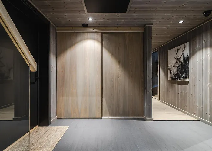 Penthouse With Large Rooftop Terrace, In-ski Out In *