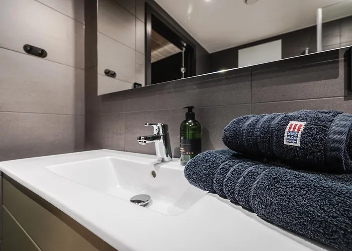 Penthouse With Large Rooftop Terrace, In-ski Out In